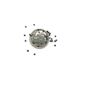 Black- Microbeads 0.8mm - 1.2mm